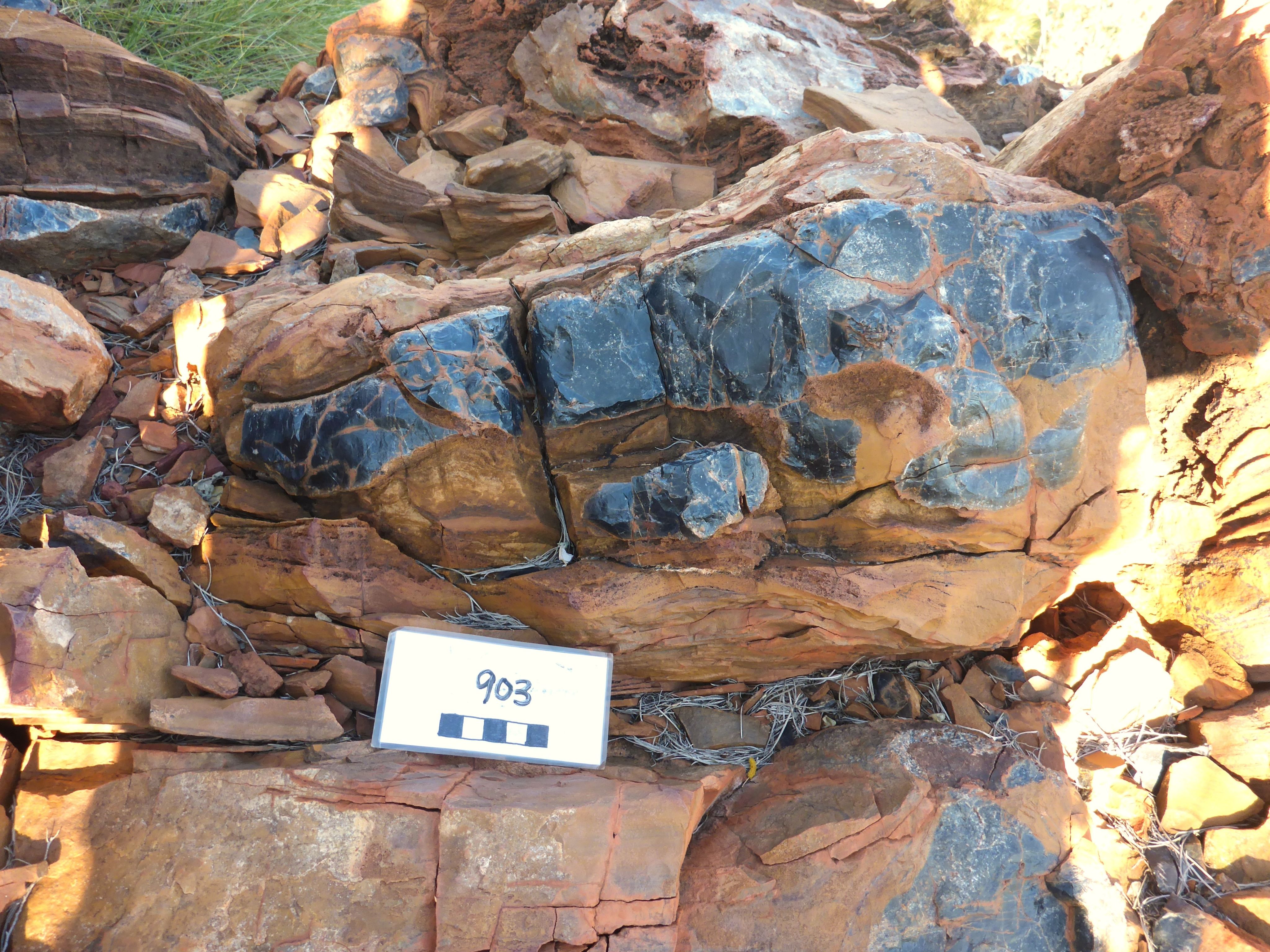 Shiny black chert on a rock wall